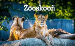 Zooskooñ The Revolutionary Fusion of Art, Nature