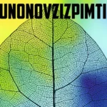 Unlocking the Mysteries of Wunonovzizpimtiz A Comprehensive Guide