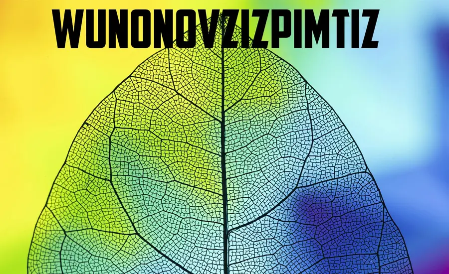 Unlocking the Mysteries of Wunonovzizpimtiz A Comprehensive Guide